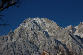 Cazare Casa Cristina Buşteni